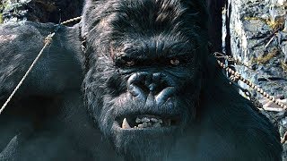 Capturing Kong Scene  King Kong 2005 Movie Clip HD [upl. by Eppillihp]