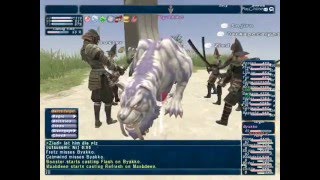 Final Fantasy XI 75 Cap Byakko BLMNIN Tank [upl. by Onaireves]