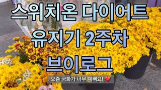 스위치온유지기브이로그❤️이렇게만 계속하면 되겠어요 유지기2주차 몸무게는 즐거운 유지기🤭🤭식단공유 잇더핏 단백질쉐이크 오이김밥 요거트볼 두유면 방탄커피만들기 달걀피자 애호박전 [upl. by Galer]