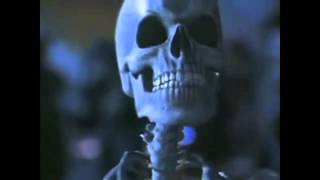 Spooky Scary SkeletonsUnofficial Music Video [upl. by Dhar]