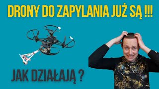 Drony do zapylania  czy to nowe zagrożenie dla pszczół [upl. by Coonan597]