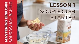 Einkorn Sourdough Starter  Mastering Einkorn Sourdough Baking  Lesson 1 [upl. by Wojcik277]