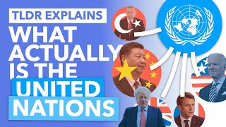 The United Nations Explained How Does it ACTUALLY Work  TLDR News [upl. by Gilbertson]