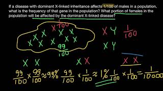 Xlinked dominant genetic disorder probability in females [upl. by Nanfa]