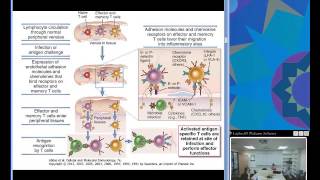 Effector Mechanisms of Cellular Immunity Ciaccio [upl. by Montagu]