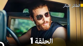 مسلسل الطائر المبكر الحلقة 1 Arabic Dubbed  FULL HD [upl. by Isahella]