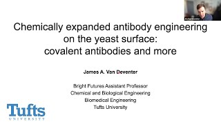 Chemically expanded antibody engineering on the yeast surface covalent antibodies and more [upl. by Nosdivad]