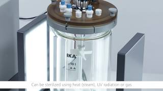 Growing algae made easy – The IKA Algaemaster 10 control [upl. by Cofsky20]