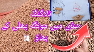 تلہ گنگ منڈی میں مونگ پھلی کے نرخ  Peanut price in talagang  21102024viralvideo [upl. by Okime]