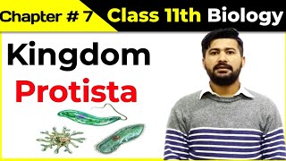 71 Kingdom protista  Kingdom protoctista  Fsc Biology lectures series by irtisamsbiology [upl. by Divaj]