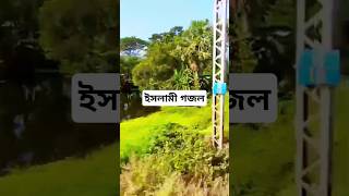 আমি এতিম হয়ে কাঁদি না কেন তোমরা বলতে পারোDoobydobap ramadan islamic nath [upl. by Etz11]