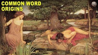 Modern Words and Phrases That Came From The Ancient World [upl. by Ihel]