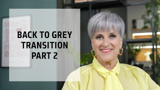 Going Back to Grey Hair Transition Service Part 2  Goldwell Education Plus [upl. by Notirb]