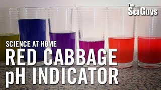 The Sci Guys Science at Home  SE2  EP4 Red Cabbage pH Indicator  Acid Base Indicator [upl. by Sibby]