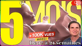 5 MOIS de GROSSESSE comment est le bébé  Symptômes [upl. by Chiang482]