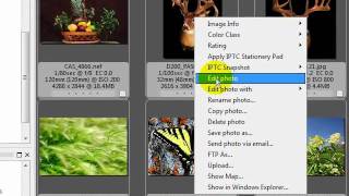 Photo Mechanic Setting Up Different Editing Programs [upl. by Eelyahs221]