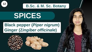 Economic Botany  SPICES  B Sc amp M Sc [upl. by Annoel161]