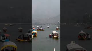 Dal lake dalgate Kashmir paradise beautiful srinagar houseeboat Sikhra snow trending video [upl. by Lletnuahs188]