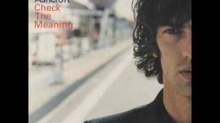 Richard Ashcroft  Check the Meaning [upl. by Nerhtak]