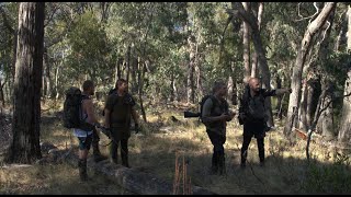 Eildon Sambar Hunt  Anzac Weekend [upl. by Heath]