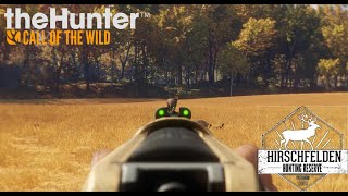 Cazando en Hirschfelden Corzo y Ciervo Comun  TheHunter Call of the Wild [upl. by Vaughn]