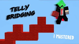 I Mastered Telly Bridging [upl. by Matthus198]