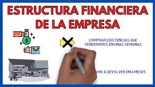 Análisis financiero de la empresa [upl. by Iaht706]