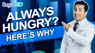 Top 8 Reasons You are Always Hungry amp How to STOP Hunger Sugar MD [upl. by Aicenav]