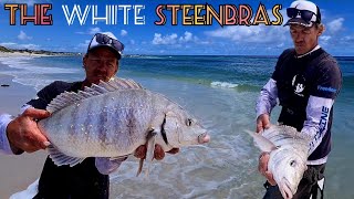 Fishing For White SteenbrasCaught 2 Legal Sizes in 1 Day with Freshly Pumped Prawn [upl. by Aicyle]