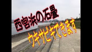 西宮浜石畳の釣り場 fishingmax武庫川 [upl. by Davida]