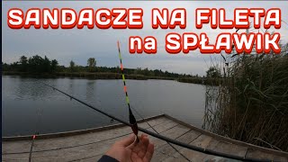 Sandacze na Fileta z ryby Metoda Spławikowa [upl. by Colp]