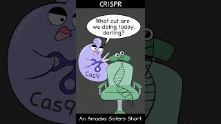 CRISPR  Amoeba Sisters Shorts biology biotechnology science [upl. by Leizar]