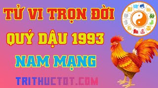 Tử Vi Trọn Đời Quý Dậu 1993 Nam Mạng [upl. by Anielram]