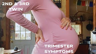 Twin Pregnancy Symptoms 2nd amp 3rd Trimester [upl. by Otilopih]