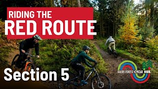 Mountain Biking In Dalby Forest Red Route – Section 3 [upl. by Hoenack951]