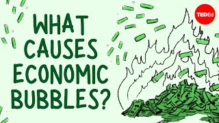 What causes economic bubbles  Prateek Singh [upl. by Kalbli]