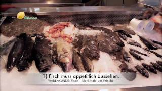 Fisch 6 Merkmale der Frische [upl. by Rog117]