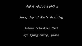 Jesu Joy of Mans Desiring  Bach  Accompaniment [upl. by Blanchette]