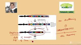 PathopearlsRadhika 5 min discussion Chromothripsis [upl. by Olgnaed3]