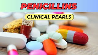 penicillins clinical pharmacology antibiotics clinical pearls clinical pharmacology made simple [upl. by Benkley]