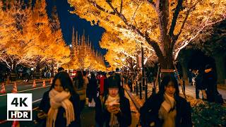 Meiji Jingu Gaien illuminated Ginkgo Avenue  Binaural Japanese Sounds 4K HDR【11302024】 [upl. by Bathsheb505]