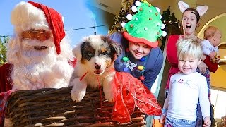 CHRISTMAS PUPPY SURPRISE  SANTA CAUGHT ON CAMERA Daily Bumps Christmas Special 2016 [upl. by Niai]