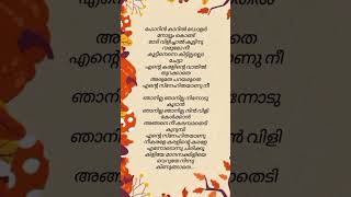 Karaleekaralinte karale 💖😍trending lyrics trendingshorts vineethsreenivasan songlyrics [upl. by Nwadahs]