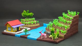 Terrace Farming Model  Science Projects [upl. by Ehr]