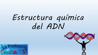 Estructura química ADN [upl. by Oemor182]