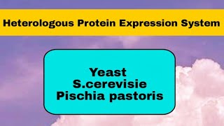 Yeast Expression System in hindi [upl. by Mariken469]