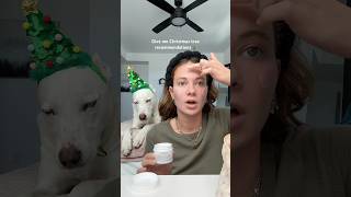 Help me Christmas tree shop🎄🎄 dogshorts grwm makeup dog pets christmas holidays puppy [upl. by Solhcin]