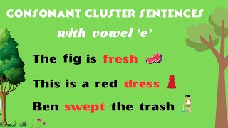 Consonant Clusters Words in Sentences with Vowel e  Learn to Read  Reading Made Easy [upl. by Meijer351]