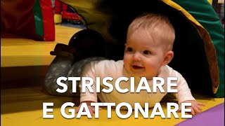 Strisciare e Gattonare la prima spinta verso lautonomia [upl. by Llertrac]