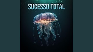 Sucesso Total feat Beats de Felicidades [upl. by Higgs]